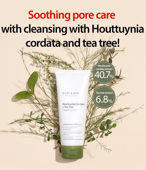 Mary & May Houttuynia Cordata + Tea Tree Cleansing Foam 150ml